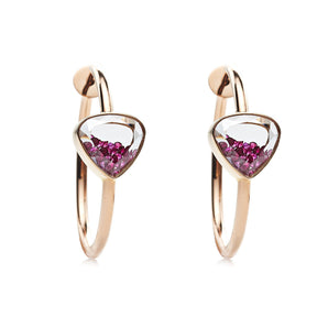 Aro 25 Ruby Hoops Earrings - Moritz Glik Hoops rubies Apura