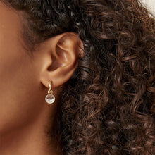Load image into Gallery viewer, Diamond Shaker Huggies Earrings - Moritz Glik diamonds Hoops Core
